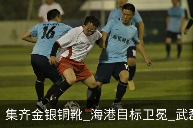 集齐金银铜靴 海港目标卫冕 武磊的伤是个麻烦